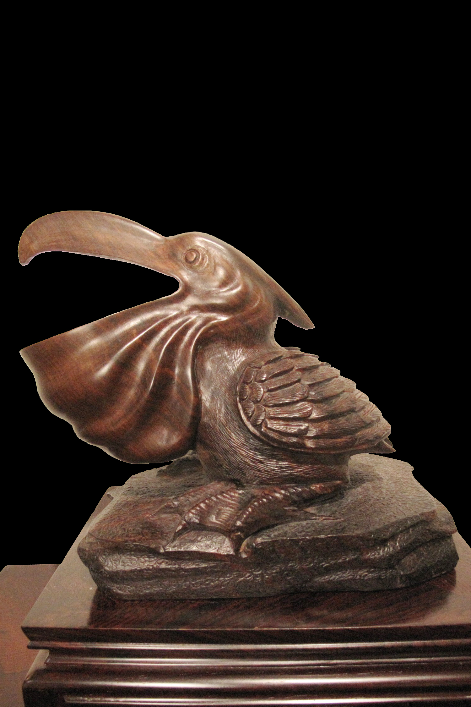 Pelican